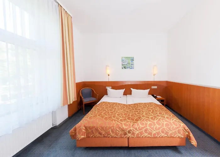 Trip Schumann Hotel 3*